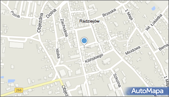 UP Radziejów, Rynek 2, Radziejów 88-200, godziny otwarcia, numer telefonu