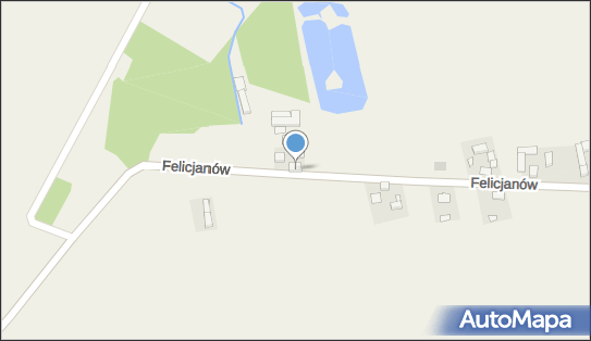 Gniazdo w Felicjanowie, Felicjanów 58, Felicjanów 99-210 - Pokój gościnny