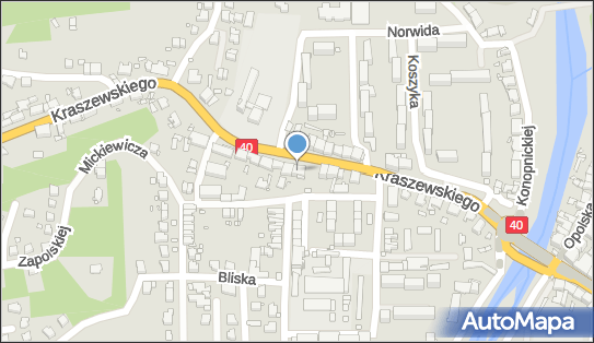 Noclegi pod Świerkami, DK40, Józefa Ignacego Kraszewskiego 15 48-340 - Pokój gościnny, numer telefonu