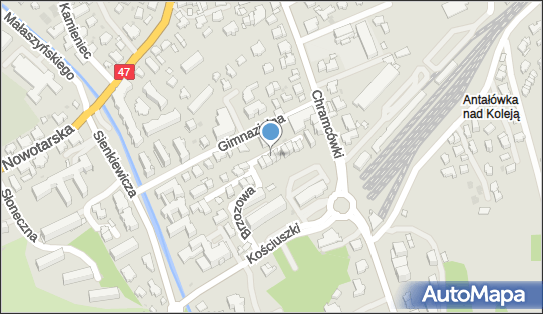Pokoje gościnne Centrum Brzozowa 14, Brzozowa 14, Zakopane 34-500 - Pokój gościnny, numer telefonu
