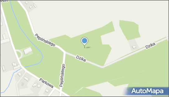 Mogiła, Dzika, Rokocin 83-200 - Pomnik, Obelisk, Tablica pamiątkowa