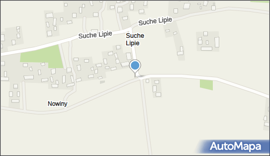 Pomnik Pamięci Poległych w walce z wojskami carskimi w styczniu 22-330 - Pomnik, Obelisk, Tablica pamiątkowa