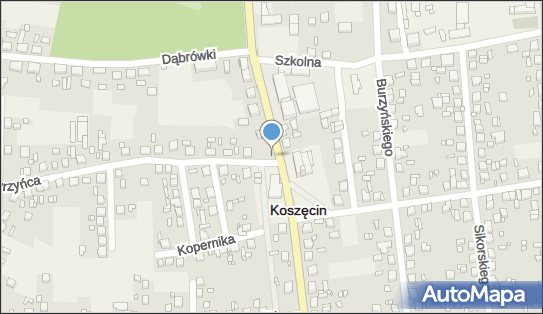 Pomnik Walentego Roździeńskiego, św. Wawrzyńca 2a, Koszęcin 42-286 - Pomnik, Obelisk, Tablica pamiątkowa