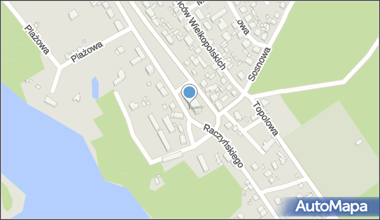 Tu Spoczywa Edward Nałęcz hr.Raczyński, Raczyńskiego 30 63-020 - Pomnik, Obelisk, Tablica pamiątkowa