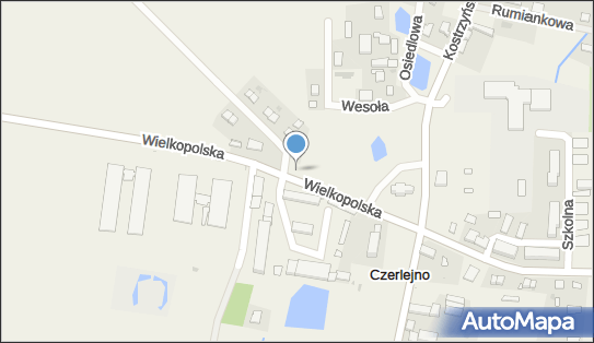 W Hołdzie Poległym Powstańcom, Wielkopolska 3, Czerlejno 62-025 - Pomnik, Obelisk, Tablica pamiątkowa