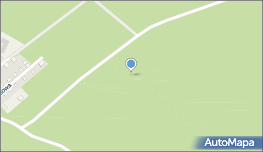 jeden ok 1 m wysokości., Wczasowa, Poddąbie 76-270 - Pomnik przyrody