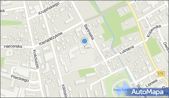 Wiąz szypułkowy, Bartniaka W 13a, Grodzisk Mazowiecki - Pomnik przyrody