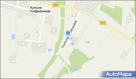 Władek Drzewo, Rumunki Głodowskie, Rumunki Głodowskie 87-600 - Pomnik przyrody