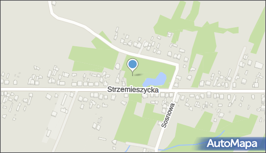 wywierzyska, Strzemieszycka 148, Dąbrowa Górnicza 42-530 - Pomnik przyrody