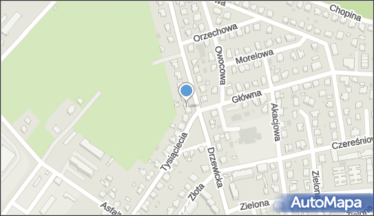 5992738242, Profesjonalna Pralnia Przemysłowa 