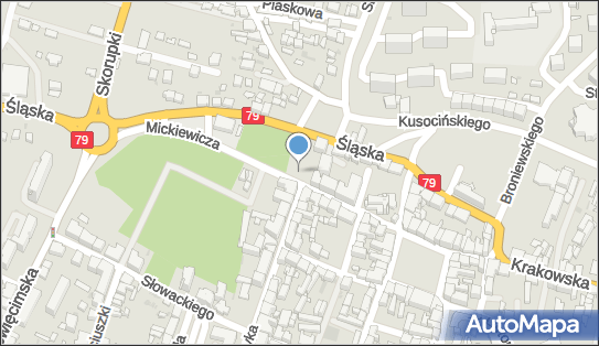 Zakład Usługowo Handlowy Pralnia Chemiczna, ul. Mickiewicza 10 32-500 - Pralnia chemiczna, wodna, NIP: 6281082575