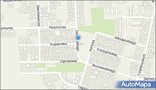 Protetyk, Żeromskiego Stefana, Gołuchów 63-322 - Protetyk
