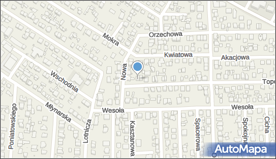 İsmail Fakioğlu Blue Star - Handel Odzieżą, Topolowa 56a, Rybie 05-090 - Przedsiębiorstwo, Firma, NIP: 1230745017