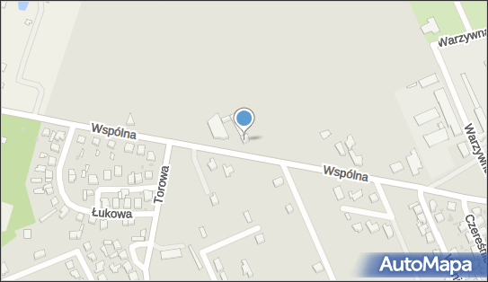 7311462841, Olmat Urszula Dąbrowska z Siedzibą ul.Wspólna 51.95-200 Pabianice. 