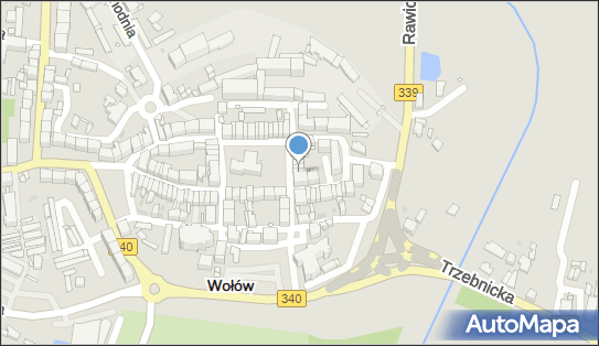 9880263089, Gołębiowska Magdalena Alfa 
