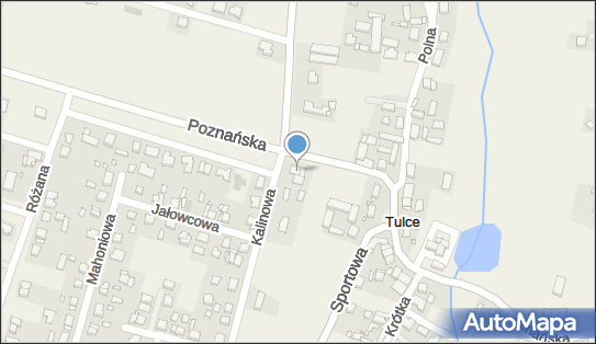 1.Monika 2.Sklep Wielobranżowy, Poznańska 10, Tulce 63-004 - Przedsiębiorstwo, Firma, NIP: 7773149067