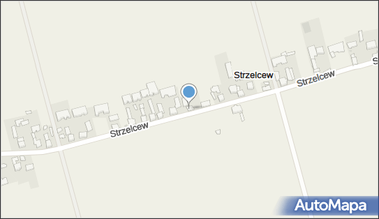 1.P.P.U.H Ewa Mycka, 2.P.P.H.U.Majan Import - Export, Strzelcew 25 99-400 - Przedsiębiorstwo, Firma, NIP: 8341004032