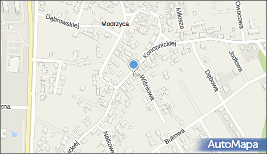 9291426055, 1.Transport Osobowy Zenon Napieralski 2.Biuro Usług Turystycznych 