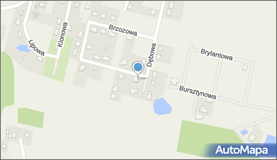 5542548582, 2De Dawid Durszewicz 