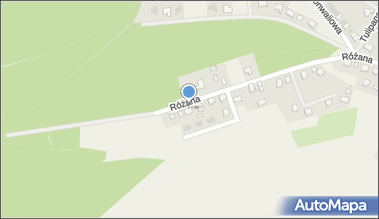 A P 05, Różana 39, Obora 59-335 - Przedsiębiorstwo, Firma, NIP: 6921246414