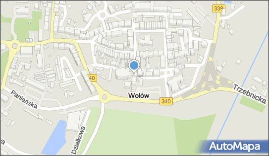 A P w R Wiadomości, pl. Szkolny 2, Wołów 56-100 - Przedsiębiorstwo, Firma, NIP: 9880136830