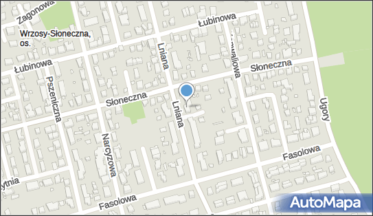 9561936873, Agencja Artystyczna MAG-MA Magda Łęgowska 