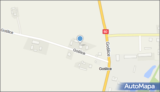 Abare Aneta Wojewódzka, Goślice 32, Goślice 09-230 - Przedsiębiorstwo, Firma, NIP: 7761031331
