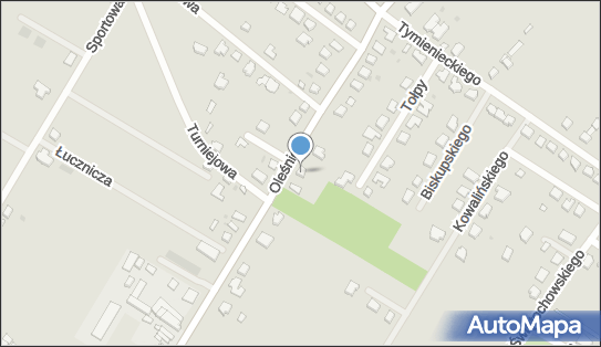 ABC ARBO Wycinka drzew, Oleśnicka 16, Jelcz-Laskowice 55-220 - Przedsiębiorstwo, Firma, numer telefonu