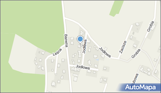 Abc Nailstore Poland, ul. Jodłowa 3B, Świerczyniec 43-220 - Przedsiębiorstwo, Firma, NIP: 6462842481