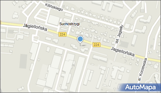 5932599742, Abi Car Serwis Witold Kleina 
