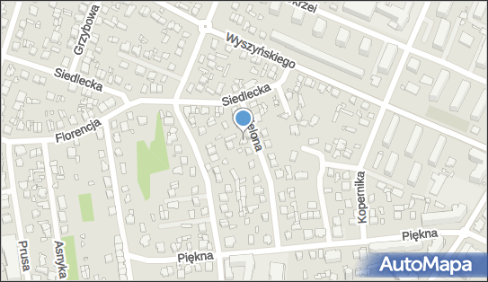 Abies Las, Zielona 9, Mińsk Mazowiecki 05-300 - Przedsiębiorstwo, Firma, NIP: 8221825708