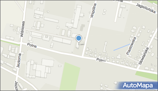 Abp Poland, Wspólna 1, Pniewy 62-045 - Przedsiębiorstwo, Firma, numer telefonu, NIP: 5272642436