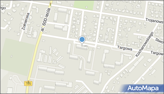 Action, ul. Targowa 8/11, Sochaczew 96-500 - Przedsiębiorstwo, Firma, NIP: 8371004054