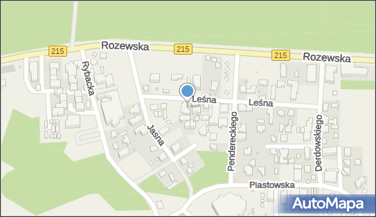 Activision Centrum Wczasów Rodzinnych, ul. Leśna 21 84-104 - Przedsiębiorstwo, Firma, NIP: 5871420794