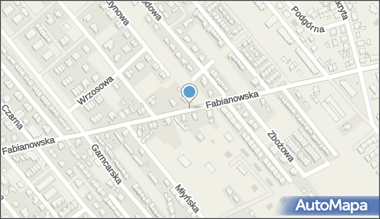 AD Green, Ul. Fabianowska, Plewiska 62-064 - Przedsiębiorstwo, Firma, numer telefonu