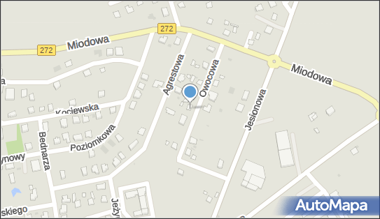 5591061213, Bala Adam Przewóz Osób Taxi 