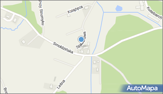 Adam Czoska, ul. Smołdzińska 3, Kobysewo 83-304 - Przedsiębiorstwo, Firma, NIP: 5891846639