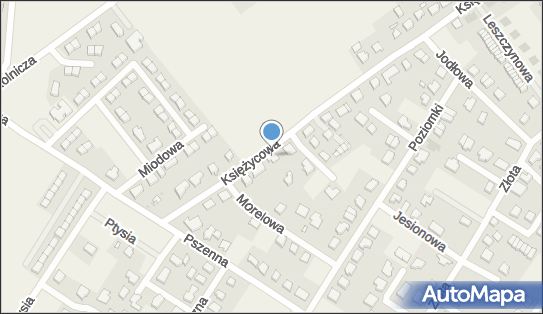 5851184586, FCC Poland Adam Dziedzic 