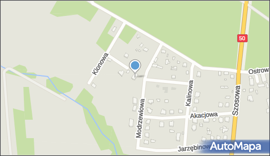 Adam Gajewski, Modrzewiowa 5, Brok 07-306 - Przedsiębiorstwo, Firma, NIP: 8241380830