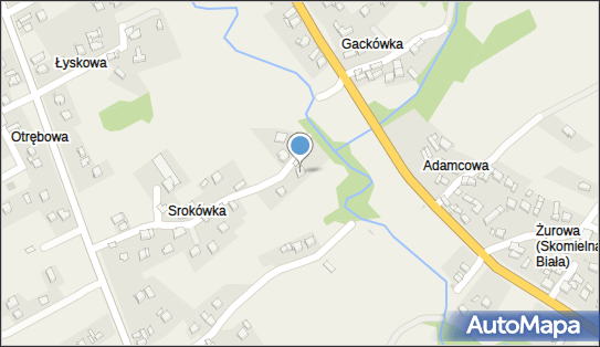 6811724628, Adam Kudzia 