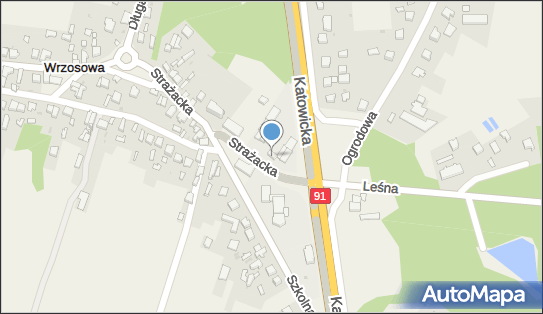 Adam Mofina Przedsiębiorstwo Handlowo- Uslugowe Dalam, Wrzosowa 42-263 - Przedsiębiorstwo, Firma, NIP: 5731046373