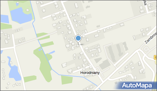 Adam. PPHU, Horodniany 21, Horodniany 16-001 - Przedsiębiorstwo, Firma, numer telefonu
