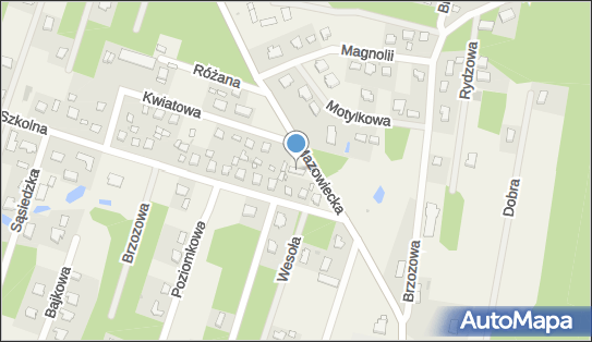 8381602319, Pami Sklep Spożywczo - Przemysłowy Adam Siemiątkowski 