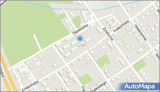 5541905413, Adam Smeja 