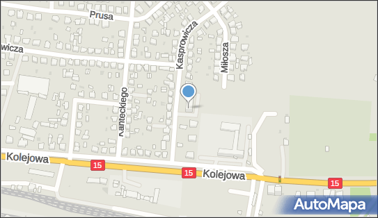 Adam Szydłowski Przedsiębiorstwo Usługowe, ul. Kasprowicza 6 88-320 - Przedsiębiorstwo, Firma, NIP: 5571620939