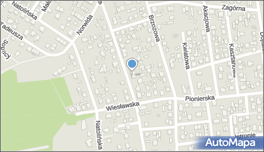 1250007297, Adam Wiśniewski 