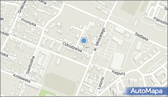 Adamczyk Janusz Pro Clean Service, Odrodzenia 1, Sosnowiec 41-209 - Przedsiębiorstwo, Firma, NIP: 6441198862