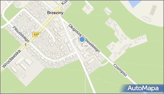 Adamus-Med, ul. 1000-lecia 1i, Brzeziny 62-874 - Przedsiębiorstwo, Firma, NIP: 9680868304