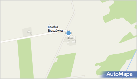 Adaś Antoni Przyborek, Brzozówka 48, Brzozówka 96-214 - Przedsiębiorstwo, Firma, NIP: 8351363169