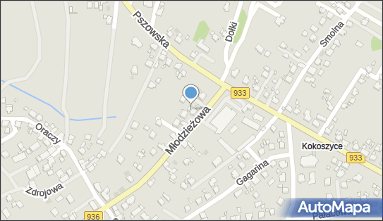 Adi Trans, Młodzieżowa 8, Wodzisław Śląski 44-373 - Przedsiębiorstwo, Firma, numer telefonu, NIP: 6423082988